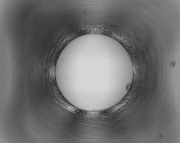 X0000097950240200803241025
