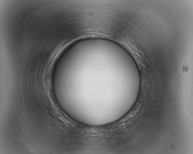 X0000097950241200803241025
