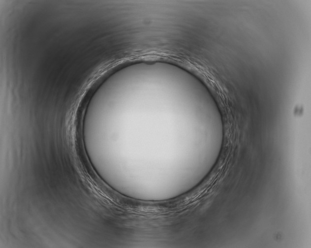X0000097950242200803241025