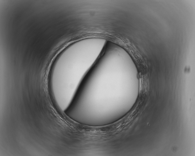 X0000097950243200803241025