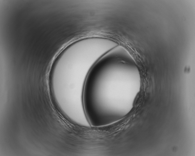X0000097950244200803241025