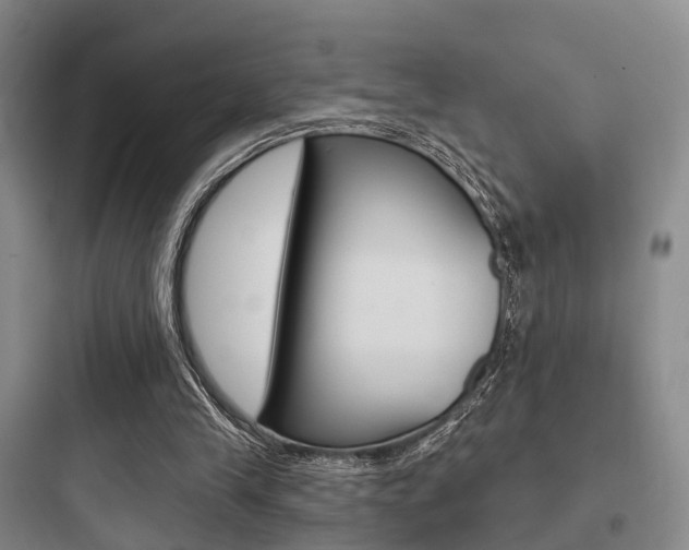 X0000097950245200803241025