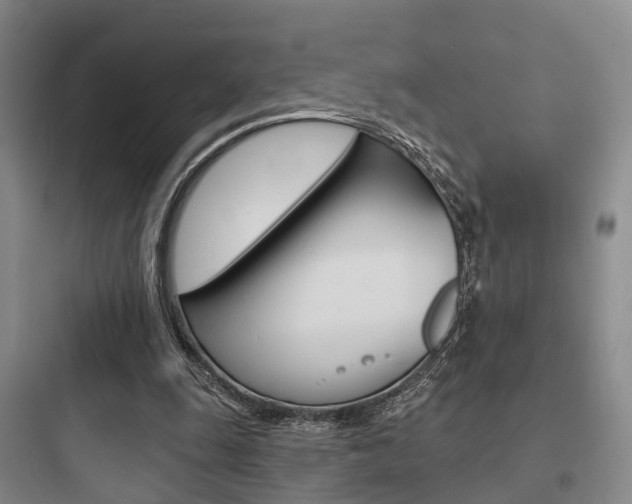 X0000097950247200803241025