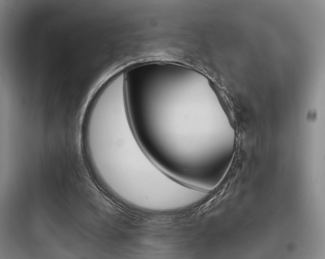 X0000097950248200803241025