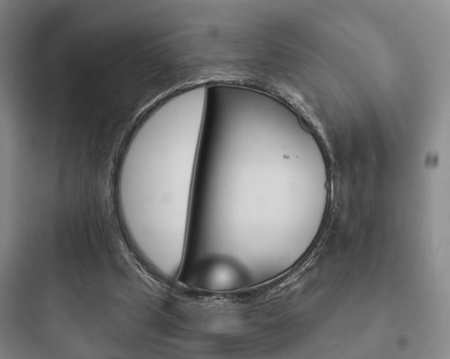 X0000097950249200803241025