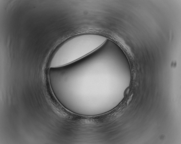 X0000097950250200803241025