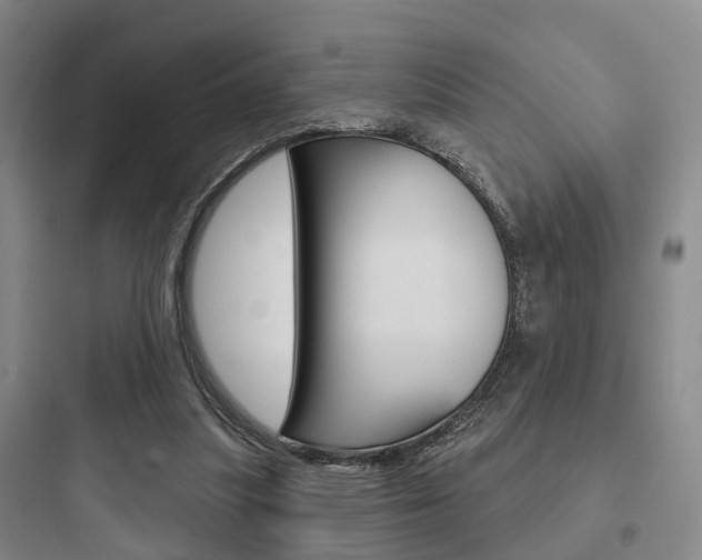 X0000097950251200803241025