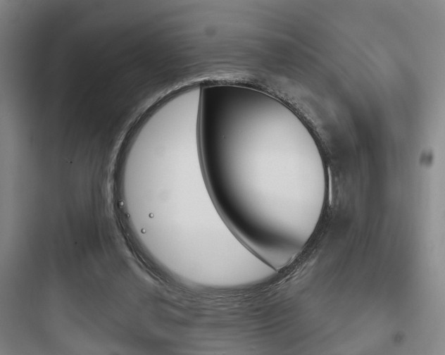 X0000097950252200803241025