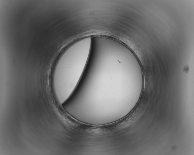 X0000097950253200803241025