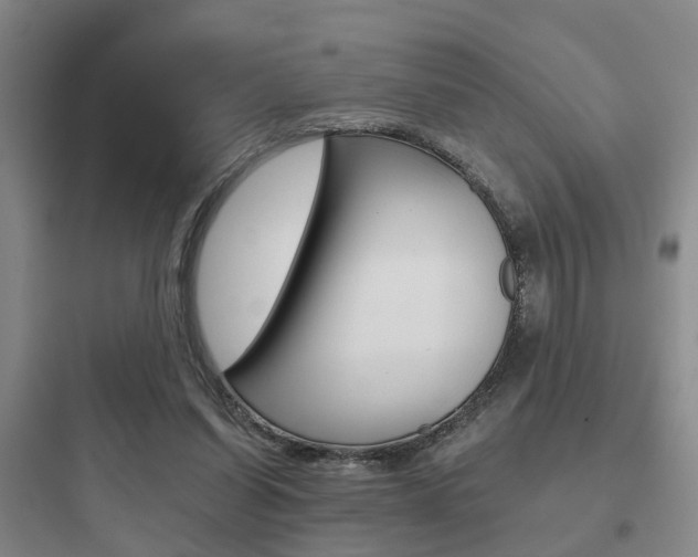 X0000097950254200803241025