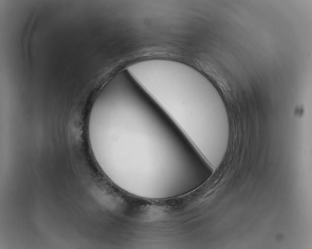 X0000097950255200803241025