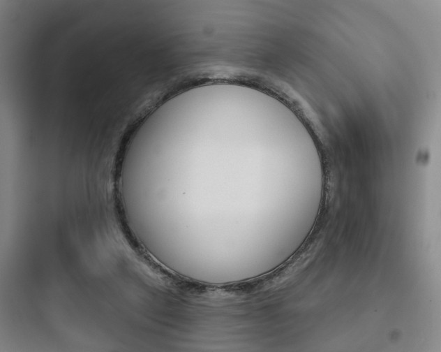 X0000097950257200803241025