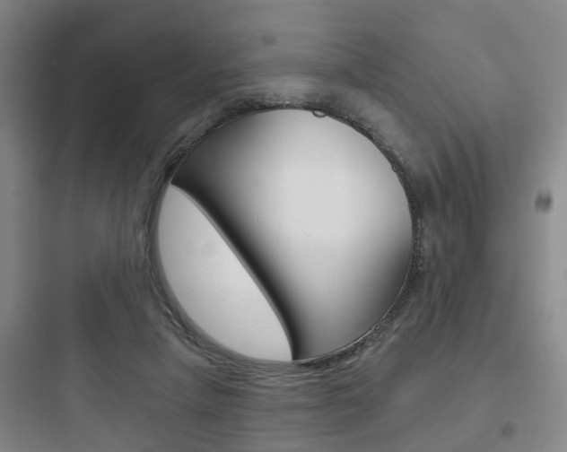 X0000097950258200803241025