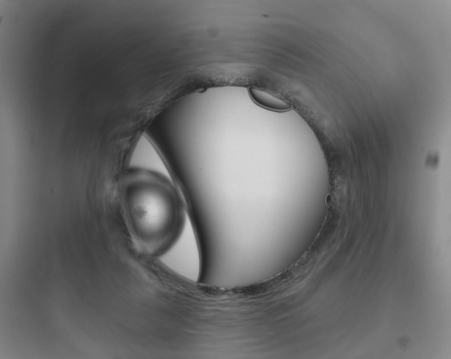 X0000097950259200803241025