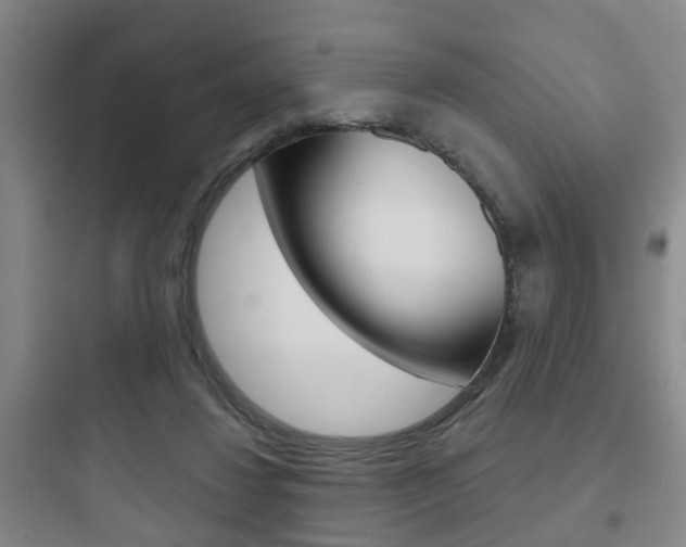 X0000097950260200803241025