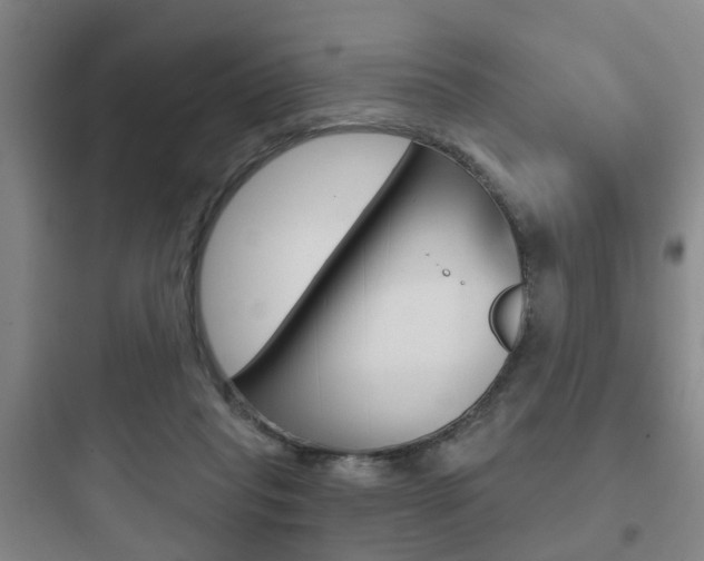X0000097950261200803241025
