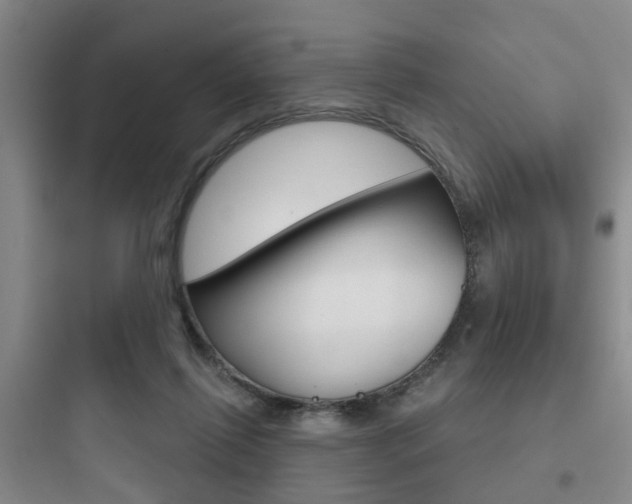 X0000097950262200803241025