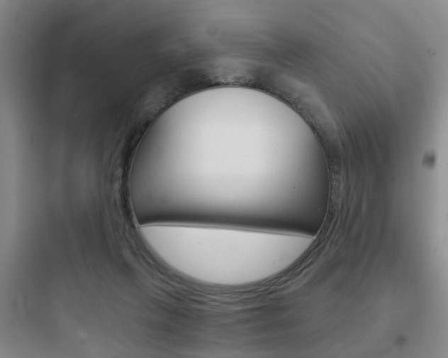 X0000097950263200803241025