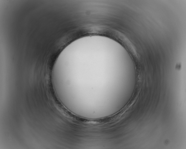 X0000097950265200803241025