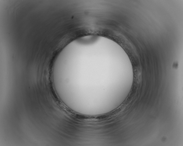 X0000097950266200803241025