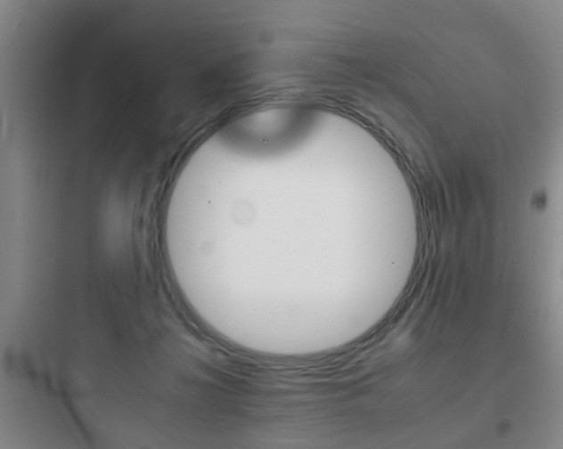 X0000097950268200803241025