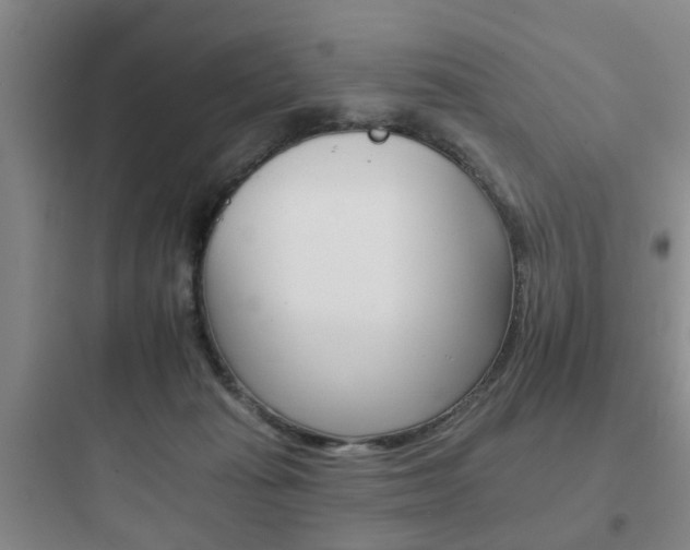 X0000097950269200803241025