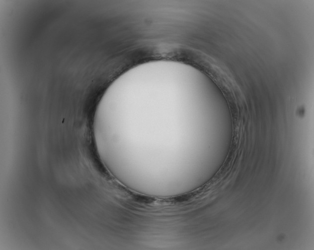 X0000097950270200803241025
