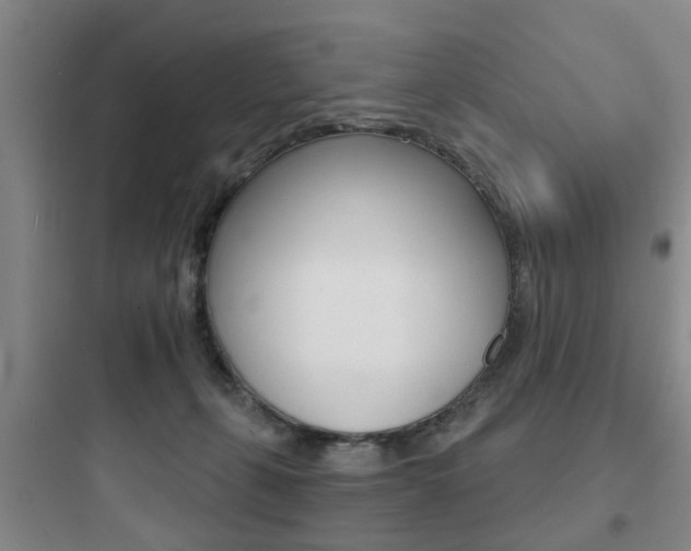 X0000097950271200803241025
