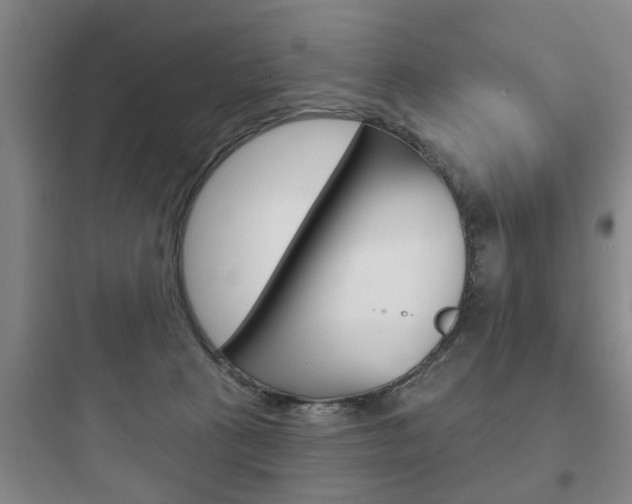X0000097950273200803241025