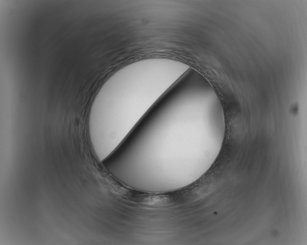 X0000097950274200803241025