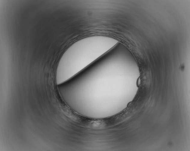 X0000097950275200803241025