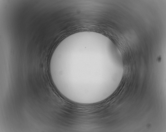 X0000097950276200803241025