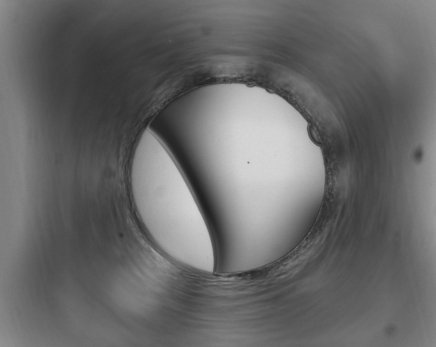 X0000097950277200803241025