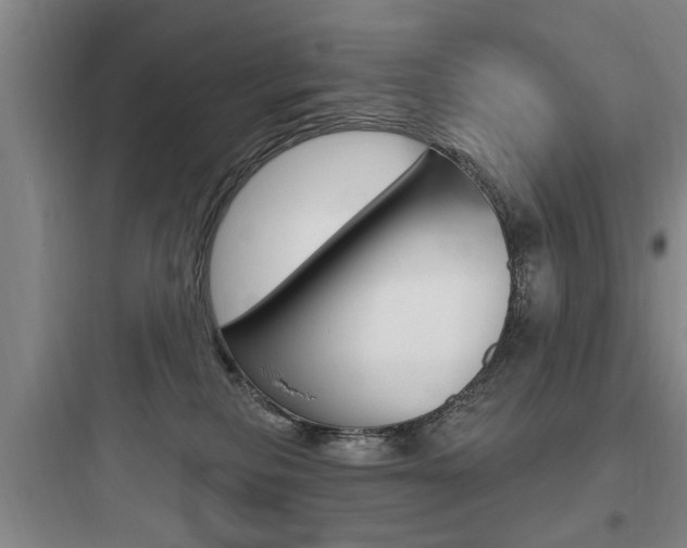 X0000097950278200803241025