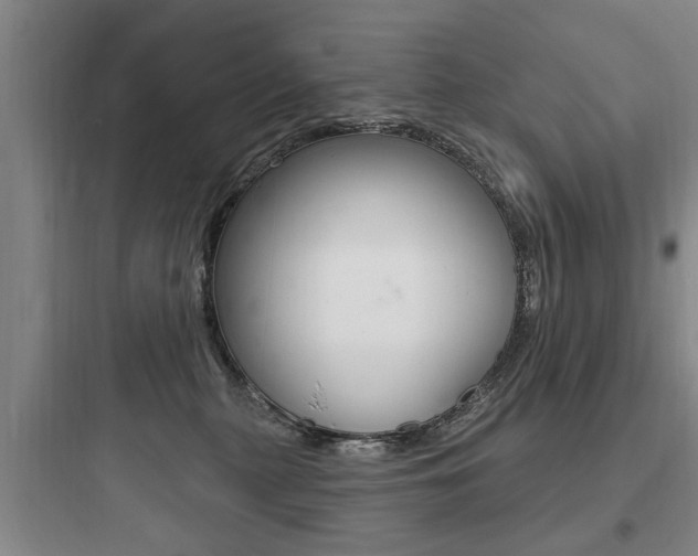 X0000097950279200803241025