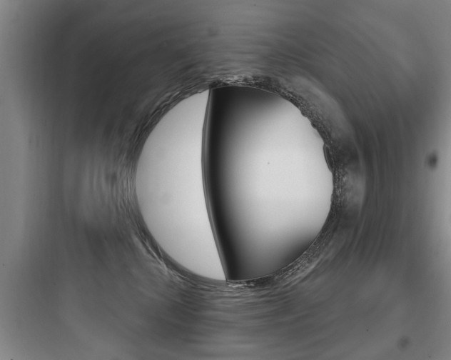 X0000097950280200803241025