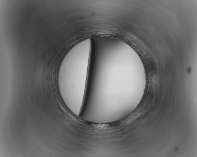 X0000097950281200803241025