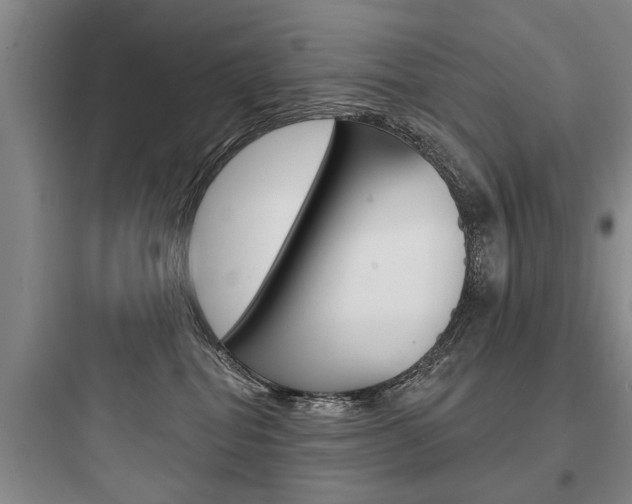 X0000097950282200803241025