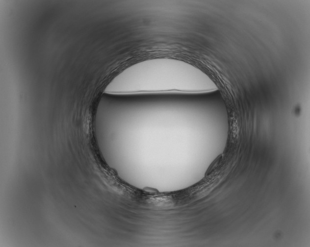 X0000097950283200803241025
