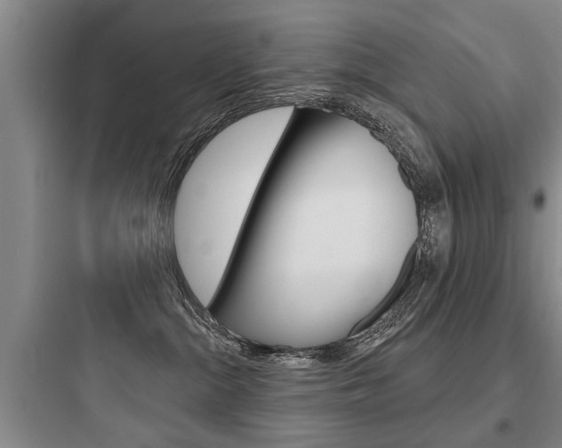 X0000097950284200803241025