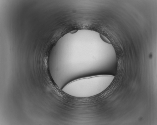X0000097950286200803241025