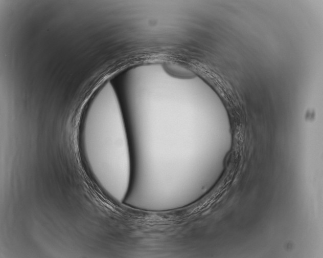 X0000097950290200803241025