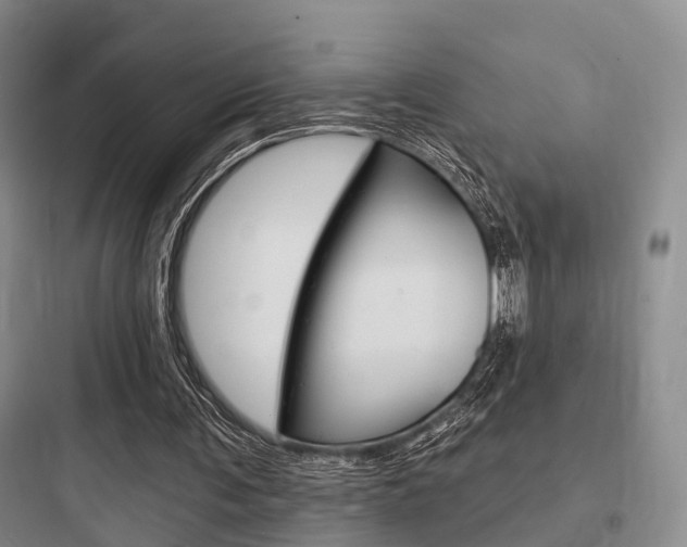 X0000097950291200803241025