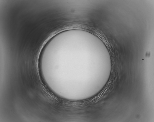 X0000097950292200803241025