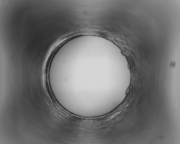 X0000097950294200803241025