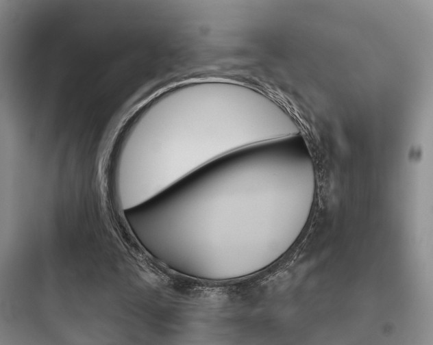 X0000097950295200803241025