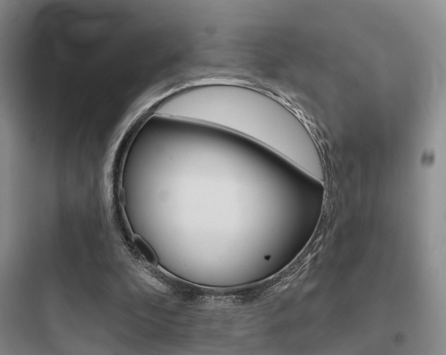 X0000097950296200803241025