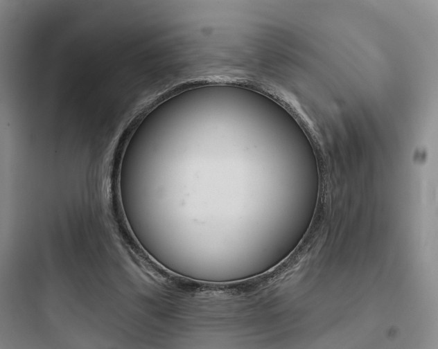 X0000097950299200803241025