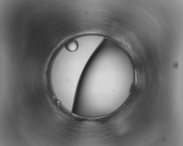 X0000097950300200803241025