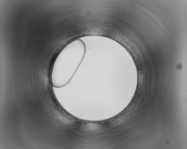 X0000097950302200803241025